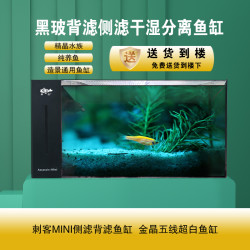 精晶 GING精晶水族刺客mini金晶五线黑玻测滤背滤客厅小型家用鱼缸
