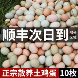 乡公馆 鸡蛋土鸡蛋乌鸡蛋混合蛋新鲜正宗农家散养鸡蛋绿皮草绿壳鸡蛋10枚