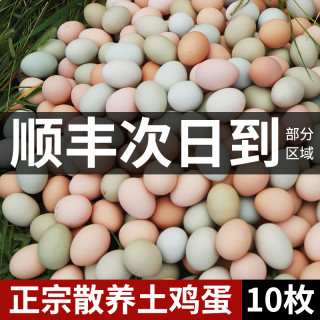 乡公馆 鸡蛋土鸡蛋乌鸡蛋混合蛋新鲜正宗农家散养鸡蛋绿皮草绿壳鸡蛋10枚