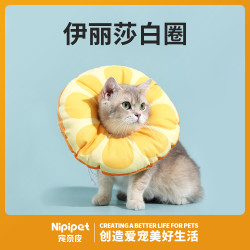 猫咪防舔圈猫圈小猫咪软圈耻辱项圈头套狗狗脖圈绝育脖套宠物饰品