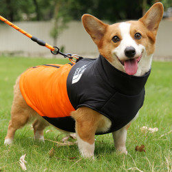 脆调 可牵引狗狗衣服秋冬款棉服中大型犬柴犬柯基冬季保暖狗面棉衣马甲