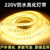 led灯带条家用户外防水超高亮白光灯带室外外墙工地隧道照明220v