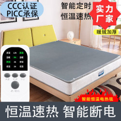 红楼梦 电热毯单人双人电褥子神器双控除湿安全智能双区调温