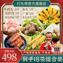 打丸哥 正宗潮汕牛肉丸套餐劲道牛肉丸子食材 250g/袋
