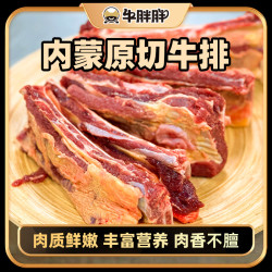 牛胖胖 内蒙古草地原切黄膘牛排 新鲜草原本地散养牛排5斤起选购