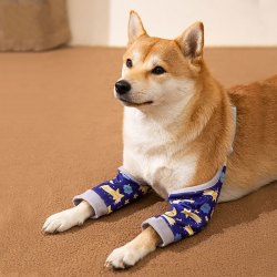 嬉皮狗 宠物狗狗袖套大型犬关节保护防磨腿护膝护肘耐磨耐用用品1103