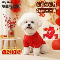 憨憨与敢敢[醒狮纳福新春两脚衣]狗狗新年服装牵引扣拜年喜庆