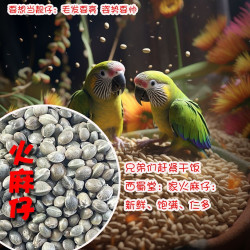 鹦鹉大麻子鸟粮鸽粮火麻子鸟食小颗粒鹦鹉仓鼠松鼠粮