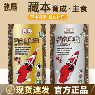神阳 藏本育成/主食系列 锦鲤鱼通用饲料专用不浑水营养促成长