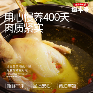 徽丰号 正宗一年以上黄油老母鸡每只两斤以上谷饲喂养
