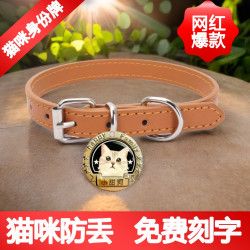 猫猫防丢身份牌深度雕刻名字电话猫咪送项圈猫牌定制项链名牌套装