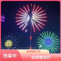晨洲岛 高亮动感编程款幻彩灯带不锈钢架子，耐用户外防水