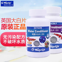 英国正品进口Waterlife大白片龙鱼魟热带鱼官网正品水族大白片