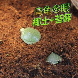 乌龟冬眠箱巴西龟过冬用品椰土苔藓沙土垫材保温爬虫冬眠窝小房子