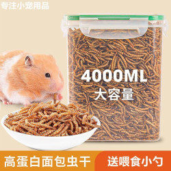 面包虫干罐装仓鼠粮食刺猬黄粉虫干龟粮仓鼠用品金丝熊主粮零食物