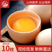 我老家 鸡蛋新鲜山林散养-农家日常鲜蛋品家常食用