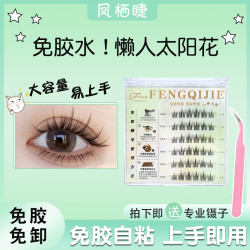 #美丽溯源#（升级款）凤栖睫免胶水太阳花假睫毛分段式单簇自粘时尚
