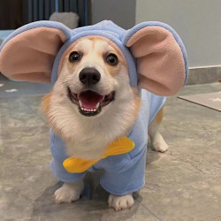 小飞象狗狗衣服柯基犬比熊雪纳瑞柴犬狗狗衣服秋冬款狗狗冬季衣服