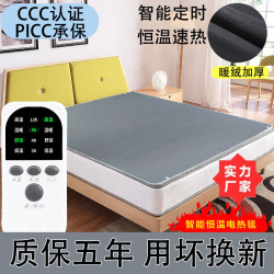 红楼梦 电热毯恒温定时加厚保暖宿舍神器电褥子双控防潮除螨