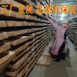 面包虫仓鼠吃黄粉虫活虫鲜活虫种虫金龙鱼石蛙仓鼠蜥蜴画眉鸟零食