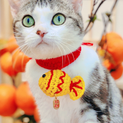 可爱的年年有鱼系列猫咪项圈-过年爆款宠物围脖配饰