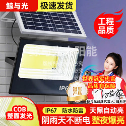 COB整面太阳能照明灯庭院户外家用超亮投光大功率路灯led光伏板