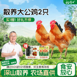 杨博士 食安放心杨博士土鸡香嫩鲜正宗土鸡