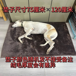 两层加厚宠物加绒保暖狗垫子