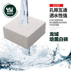 龙域五行能量白砖水族箱鱼缸培菌砖滤材菌屋硝化细菌专业滤材净水