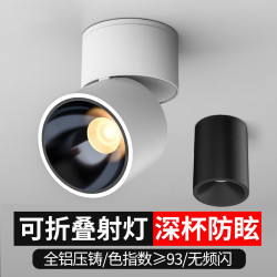拉伯塔 明装客厅led天花灯家用可调角度店铺商用cob轨道灯小吸顶明装射灯