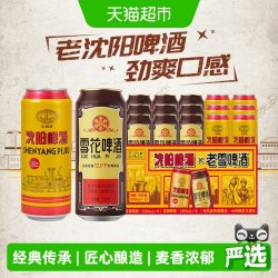 雪花 啤酒 经典沈阳老雪12度 500mL*2罐 啤酒