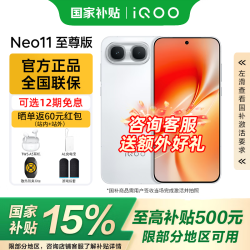 vivo iQOO Neo11至尊版 手机 12GB+256GB 驰光白
