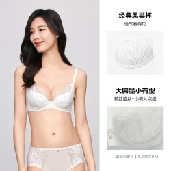安莉芳 风巢杯蕾丝收副乳文胸