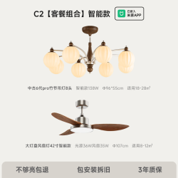 简顿 中古风吊灯客厅法式复古灯具普瑞全光谱护眼吊灯 智能款