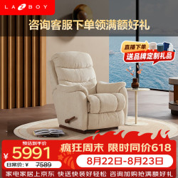 乐至宝 功能布艺沙发单人布艺沙发LZ.735凯撒 斑驳金