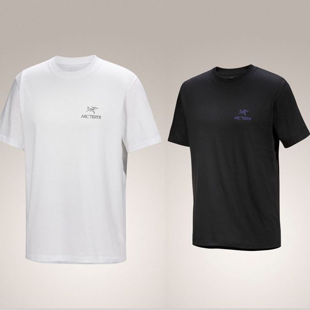 ARC'TERYX Arcteryx始祖鸟 KRAGG SL COTTON BIRD WORD SHIRT SS 棉男X9535