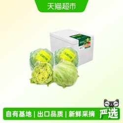 绿行者 出口级球生菜新鲜蔬菜圆生菜生菜青菜白菜沙拉用汉堡专用