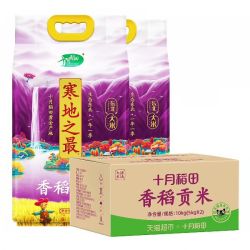 十月稻田 寒地之最香稻贡米东北大米