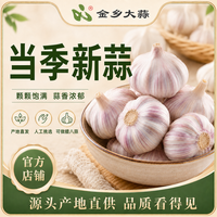 金乡大蒜 金乡紫皮干蒜10头净重450g赠姜100g