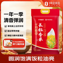 十月稻田 东北长粒香大米 5kg 真空包装