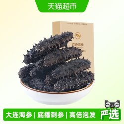 宫壹 大连 淡干海参 50g