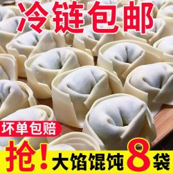 珑记美厨 正宗手工荠菜鲜肉大馄饨方便速食营养早晚餐整箱批发商用半成品
