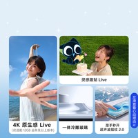 vivo S60 元气版 5G手机
