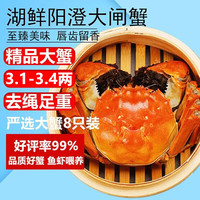 湖鲜阳澄 大闸蟹 去绳足重 全母3.3-3.6两 8只 鲜活螃蟹礼盒装