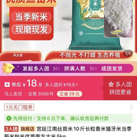 优质丝苗米	丝苗米
当季新米 10 斤