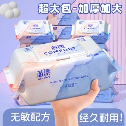 蓝漂 80抽婴儿亲肤湿巾大包装家庭实惠手口屁可用新生宝宝幼儿童湿纸巾