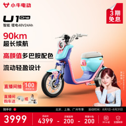 小牛电动 U1 one 电动自行车 48V24Ah锂电