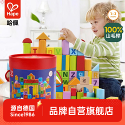 Hape E8402 益智积木 桶装 80颗粒