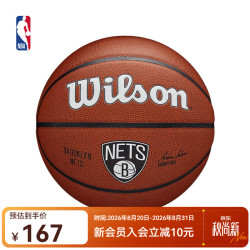 NBA Wilson TEAM ALLIANCE 凯尔特人队 7号篮球