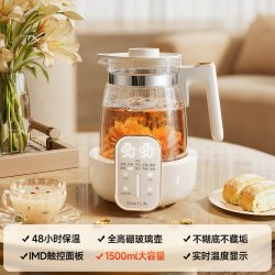 何物 恒温多功能 养生壶